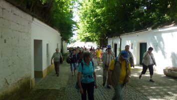 20130614 Landeswandertag Poysdorf 01
