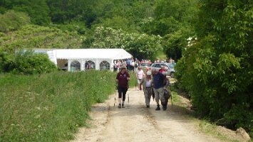 20130614 Landeswandertag Poysdorf 03