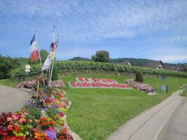 20150629 5-Tagesfahrt Schwarzwald 2015_047