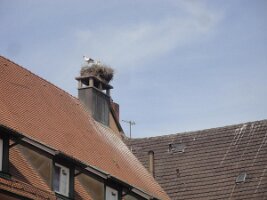 20150629 5-Tagesfahrt Schwarzwald 2015_057