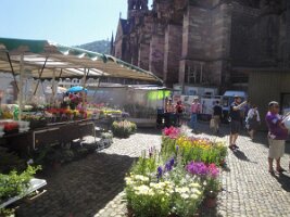 20150701 5-Tagesfahrt Schwarzwald 2015_021