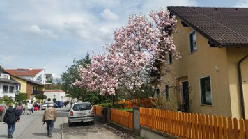 20160406 TB Wandertag Leobendorf_018