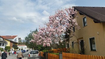20160406 TB Wandertag Leobendorf_019