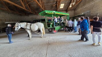 2025-05-13_Tagesfahrt Schloss Esterhazy-Kutschenfahrt-Heurigenbuffet 071
