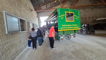 2025-05-13_Tagesfahrt Schloss Esterhazy-Kutschenfahrt-Heurigenbuffet 072