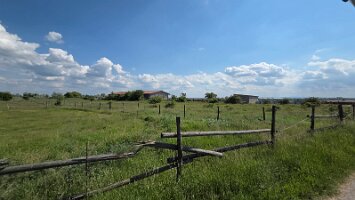 2025-05-13_Tagesfahrt Schloss Esterhazy-Kutschenfahrt-Heurigenbuffet 074