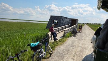 2025-05-13_Tagesfahrt Schloss Esterhazy-Kutschenfahrt-Heurigenbuffet 082