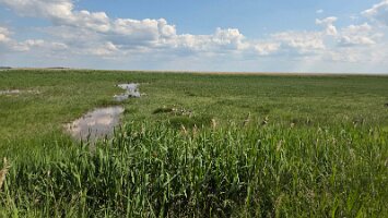 2025-05-13_Tagesfahrt Schloss Esterhazy-Kutschenfahrt-Heurigenbuffet 089