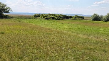 2025-05-13_Tagesfahrt Schloss Esterhazy-Kutschenfahrt-Heurigenbuffet 096