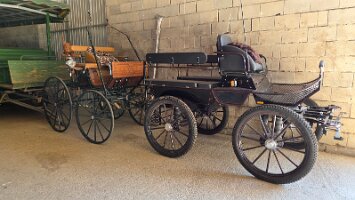 2025-05-13_Tagesfahrt Schloss Esterhazy-Kutschenfahrt-Heurigenbuffet 105