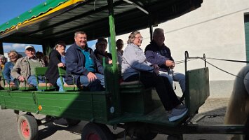 2025-05-13_Tagesfahrt Schloss Esterhazy-Kutschenfahrt-Heurigenbuffet 106