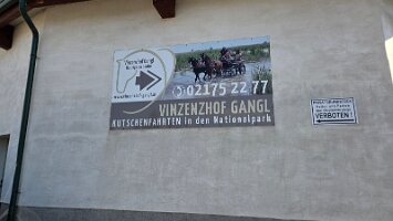 2025-05-13_Tagesfahrt Schloss Esterhazy-Kutschenfahrt-Heurigenbuffet 107