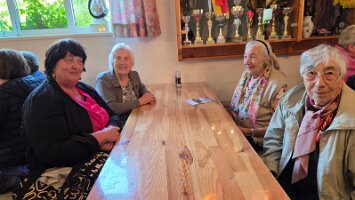 2025-05-13_Tagesfahrt Schloss Esterhazy-Kutschenfahrt-Heurigenbuffet 116