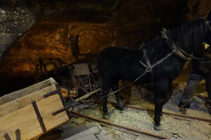 2018-06-25 14-58-50 5-Tagesfahrt Krakau