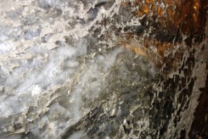 2018-06-25 16-05-38 5-Tagesfahrt Krakau