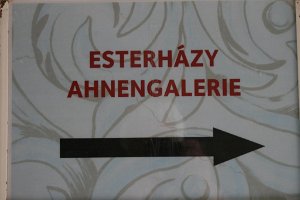 20070514 Tagesfahrt Bgld_027