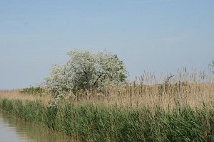 20070514 Tagesfahrt Bgld_090