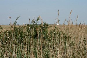 20070514 Tagesfahrt Bgld_091