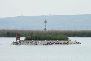 20070514 Tagesfahrt Bgld_112