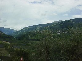 DSC04454