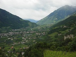 DSC04471