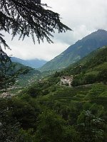 DSC04478