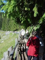 DSC04526