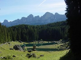DSC04529
