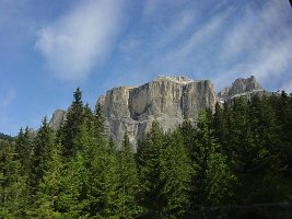 DSC04548