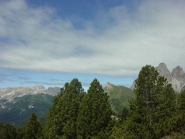 DSC04555