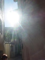 DSC04631