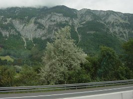 DSC04695