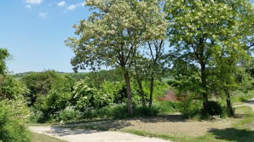 20150529_Wandertag Großrußbach_004