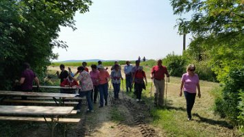 20150529_Wandertag Großrußbach_012