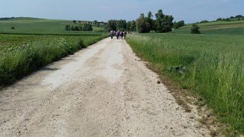 20150529_Wandertag Großrußbach_031