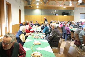 20160205_Seniorenfasching 2016_072