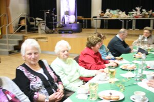 20160205_Seniorenfasching 2016_119