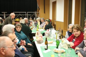 20160205_Seniorenfasching 2016_134