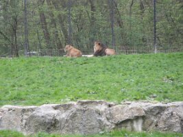 20170419 Tagesausflug Öhling und Haag 014