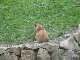 20170419 Tagesausflug Öhling und Haag 015