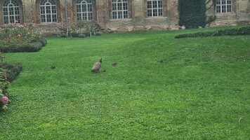 2022-09-15 10-46-10 Tagesfahrt Rahjrad und Znaim 023