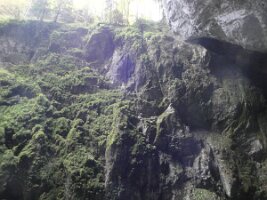 2018-10-17 10-16-101 Tagesausflug Macocha Höhlen - Foto J. Holzmann