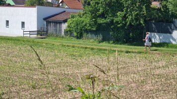 20230601 Wandertag Senioren - Weinsteig 024