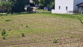 20230601 Wandertag Senioren - Weinsteig 025