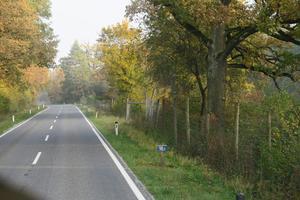 2017-10-21 13-52-12 Jaromerice - Bitov - Bilder von Brückl 099